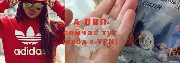 амф Аркадак