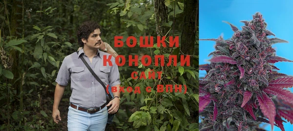 амф Аркадак