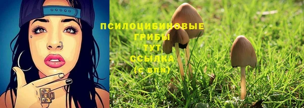 СК Арсеньев