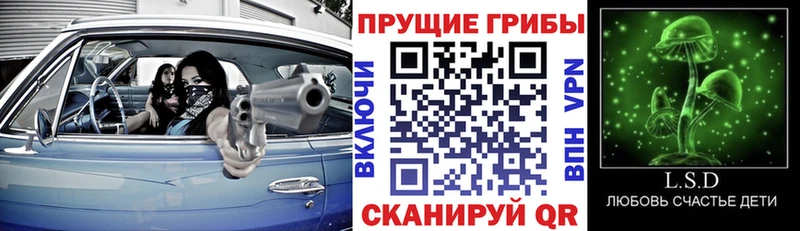 Псилоцибиновые грибы мухоморы  как найти закладки  Сарапул 